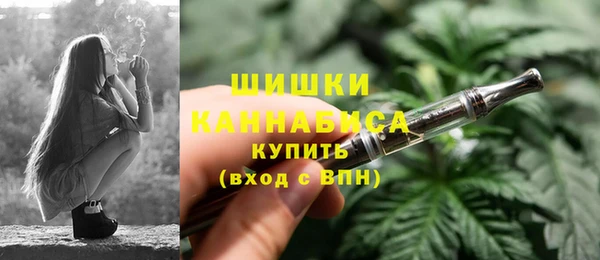 ГАЛЛЮЦИНОГЕННЫЕ ГРИБЫ Баксан