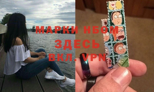 стаф Балахна