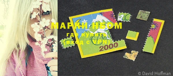 ГАЛЛЮЦИНОГЕННЫЕ ГРИБЫ Баксан