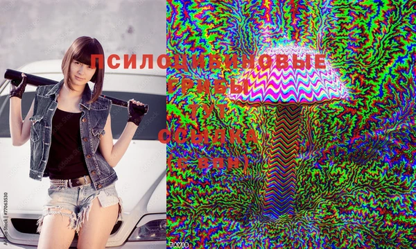 прущий лед Беломорск