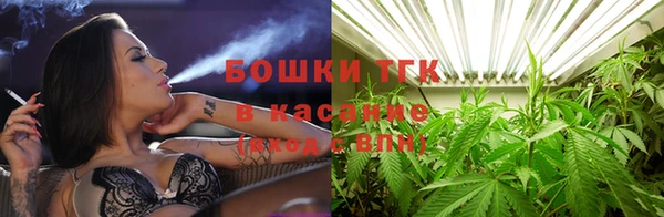 ГАЛЛЮЦИНОГЕННЫЕ ГРИБЫ Баксан