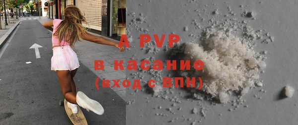 стаф Балахна
