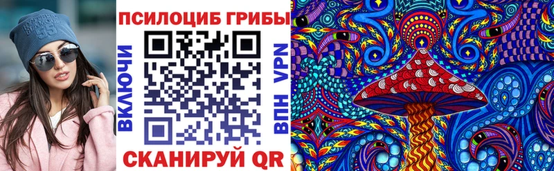 Галлюциногенные грибы прущие грибы  Буинск 